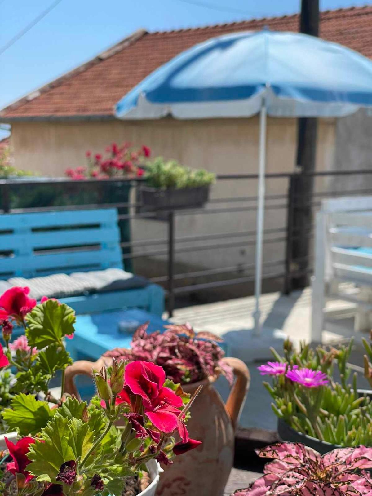 Gopo Guesthouse Elshani Esterno foto
